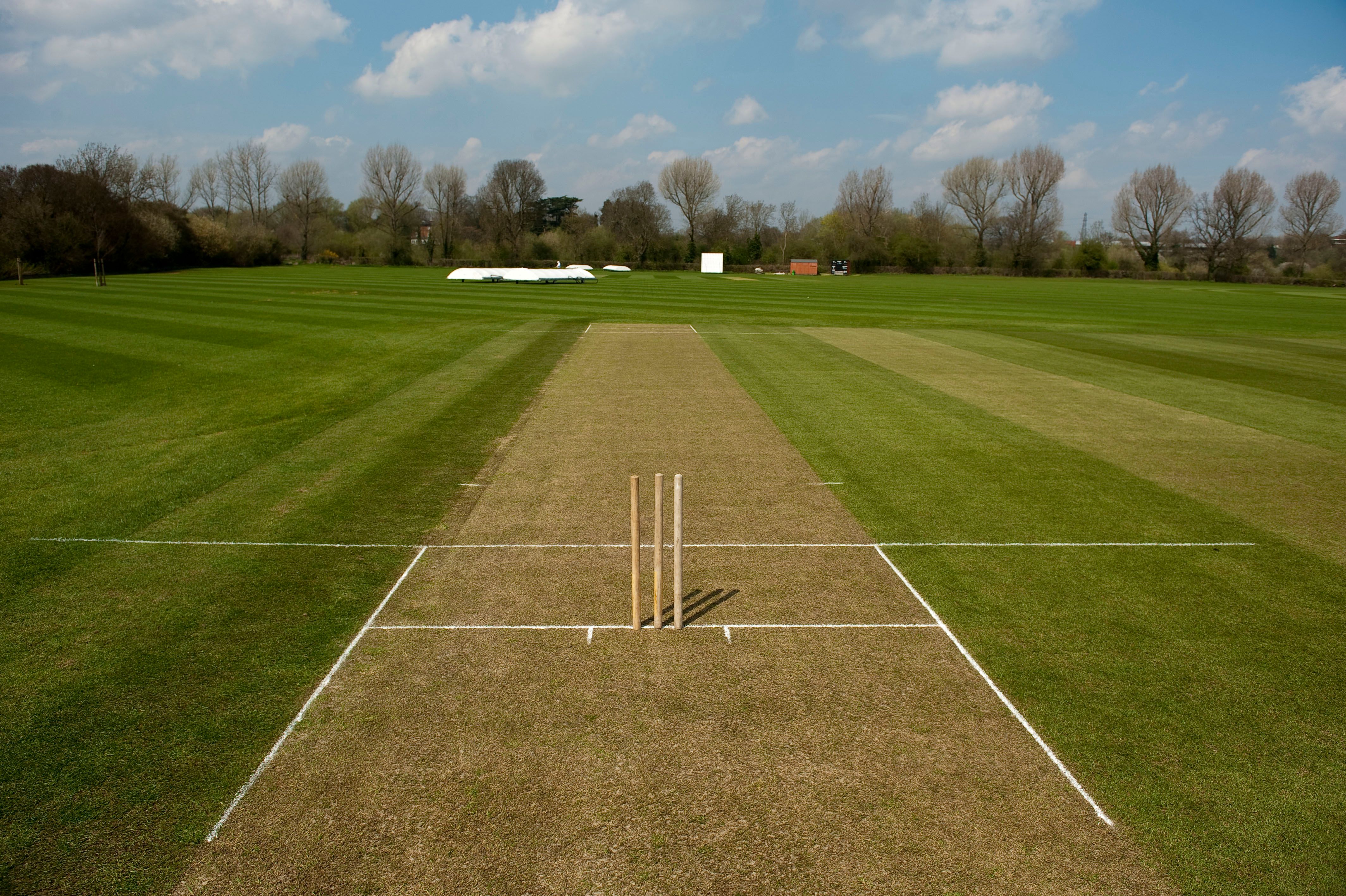 Cricket Pitch.jpg