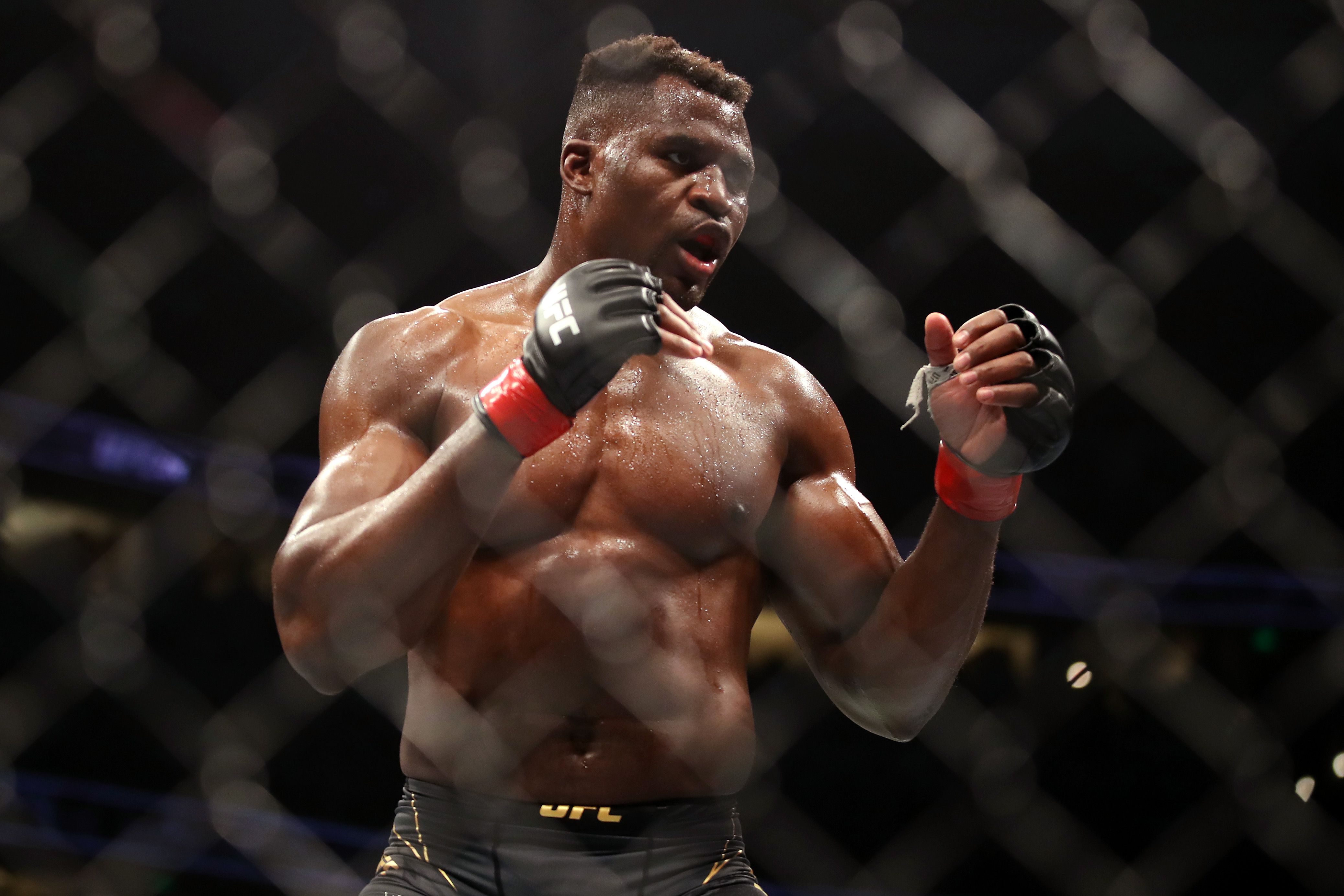 Francis Ngannou of Cameroon looks on against Ciryl Gane